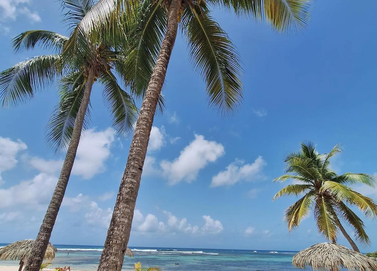 Appartement Petite Terre, Anse Des Rochers Saint-Francois  0*, Saint-Francois (Grande-Terre)